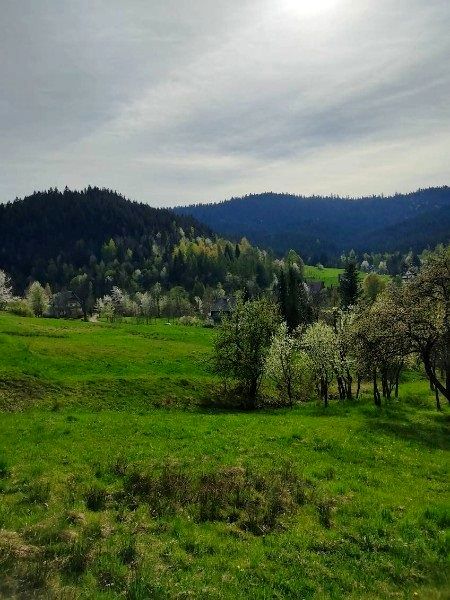 Działka Poręba Wielka