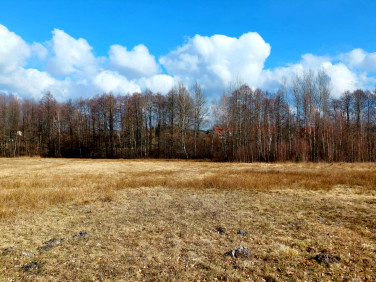 Działka budowlana Nalewajków sprzedam