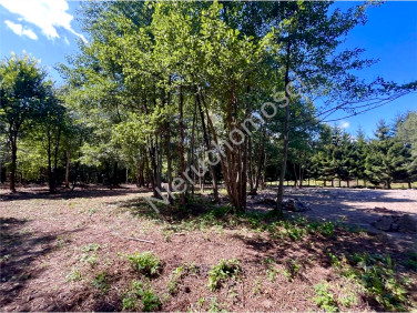 Działka budowlana Mościska