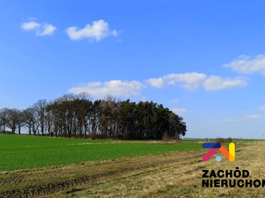Działka budowlana Łąkie