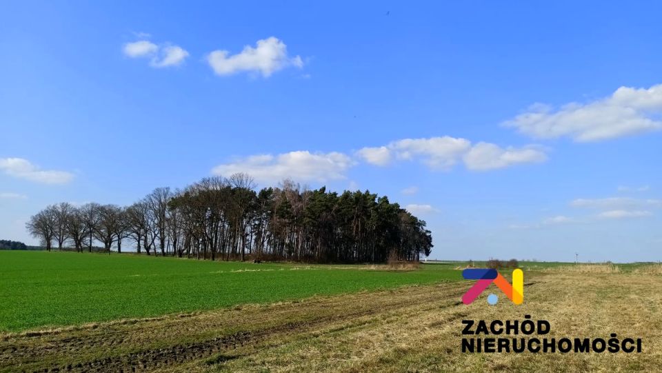 Działka budowlana Łąkie