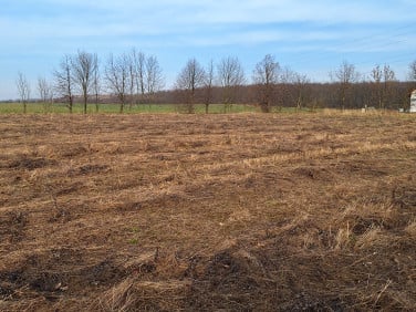 Działka budowlana Mikoszowa