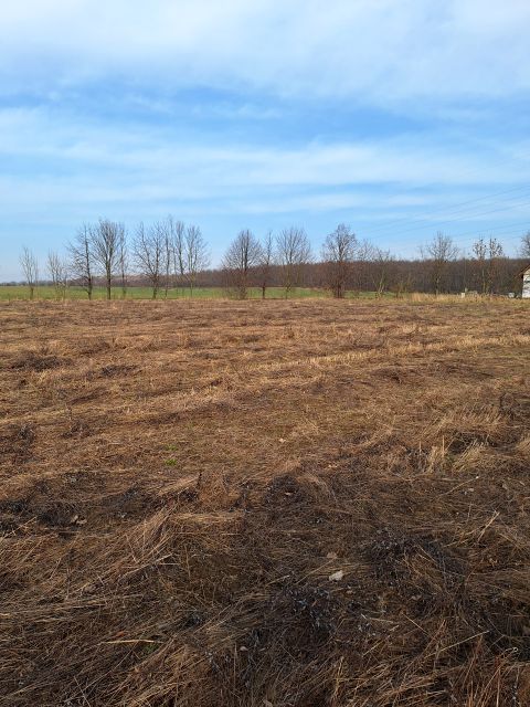 Działka budowlana Mikoszowa