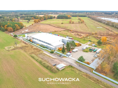 Budynek użytkowy Czarnowice