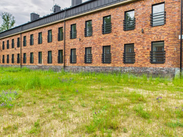 Mieszkanie Świętoszów