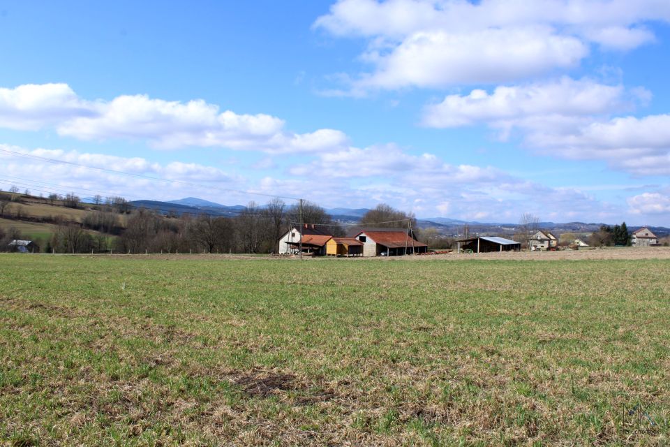 Działka budowlana Brzezowa