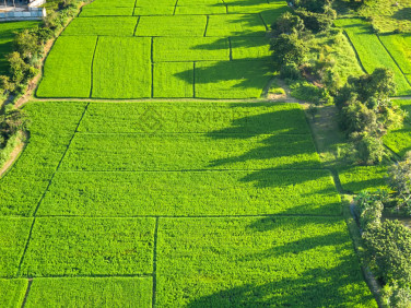Działka budowlana Warszawa