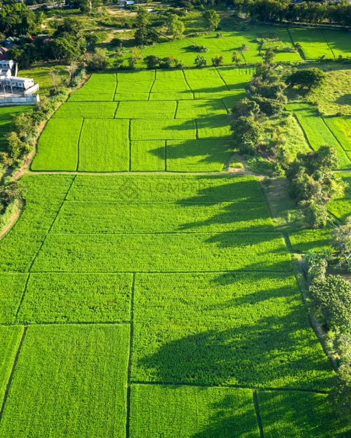 Działka budowlana Warszawa