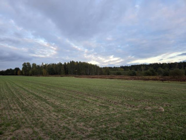 Działka budowlana Krzywica