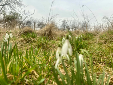 Działka budowlano-rolna Lutol Suchy