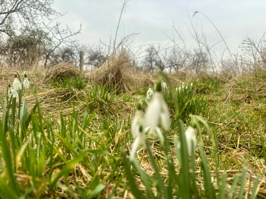 Działka budowlano-rolna Lutol Suchy