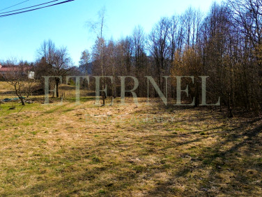 Działka rolna Stara Wieś