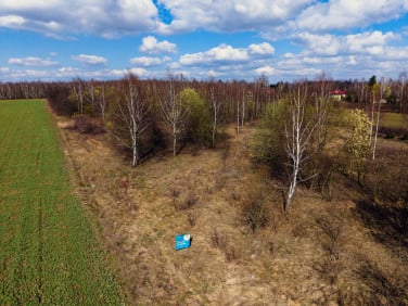 Działka Justynów