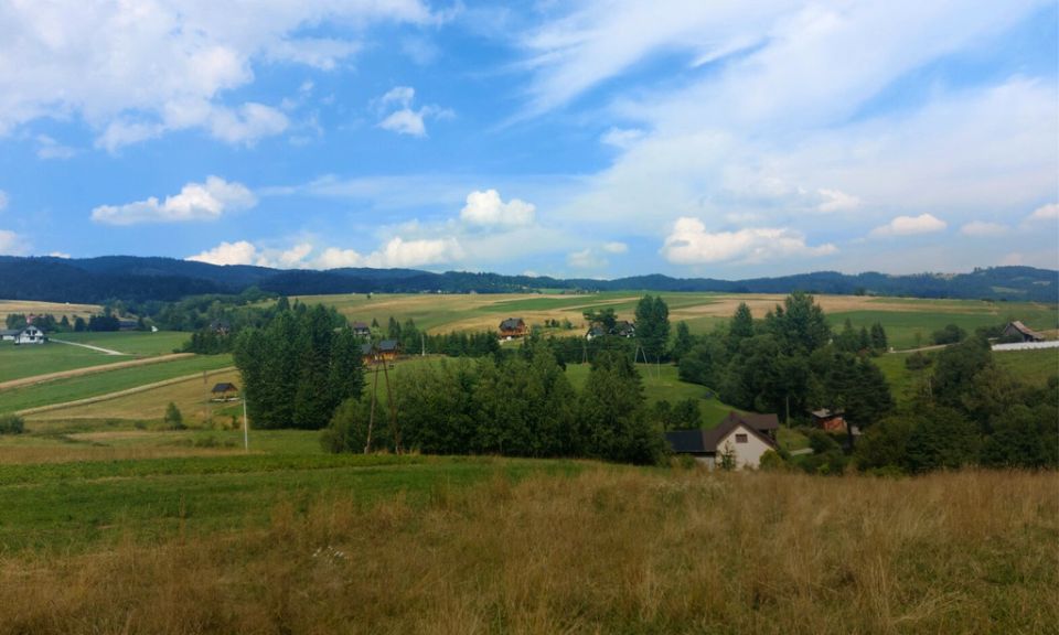 Zdjęcie 2