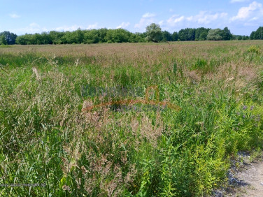 Działka siedliskowa Łęgi