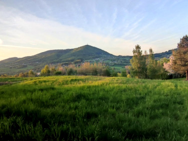 Działka rolna Wola Marcinkowska