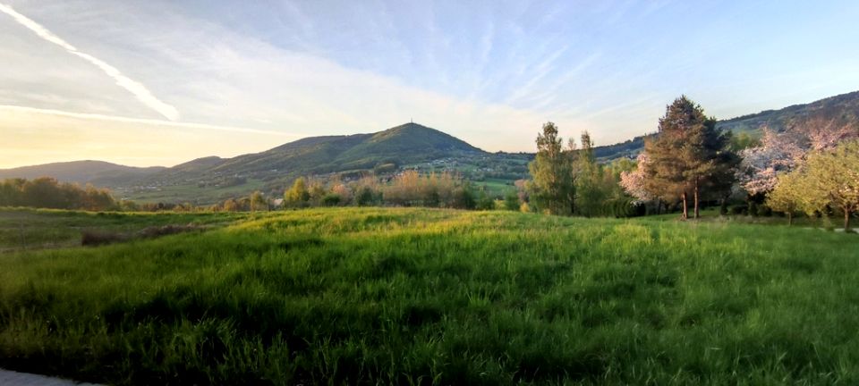 Działka rolna Wola Marcinkowska