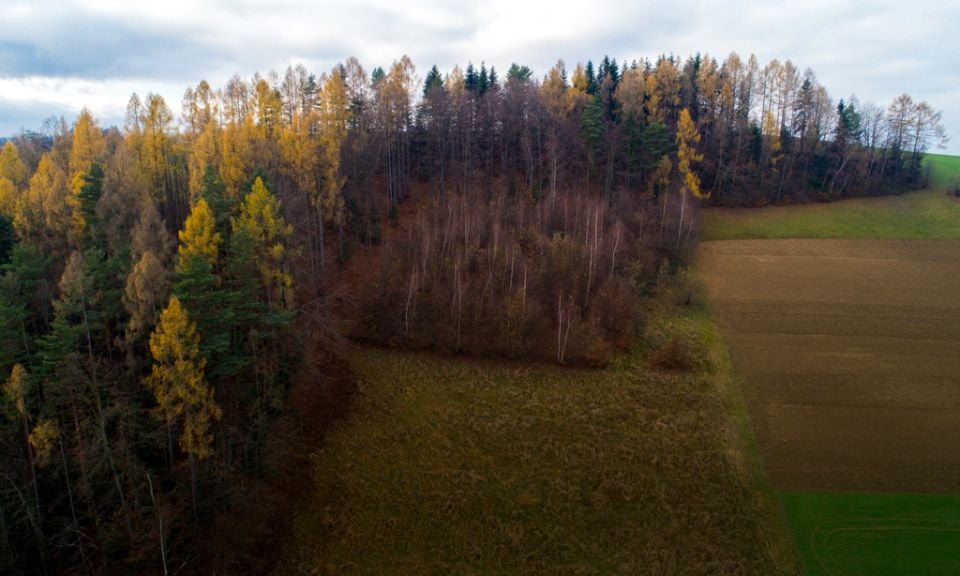 Działka Gaboń