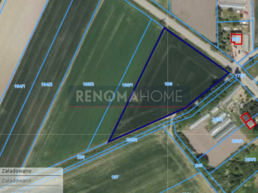 Działka siedliskowa Sienice