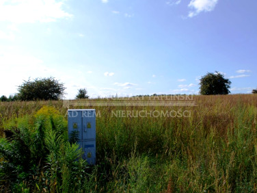 Zalesiona działka Snopków