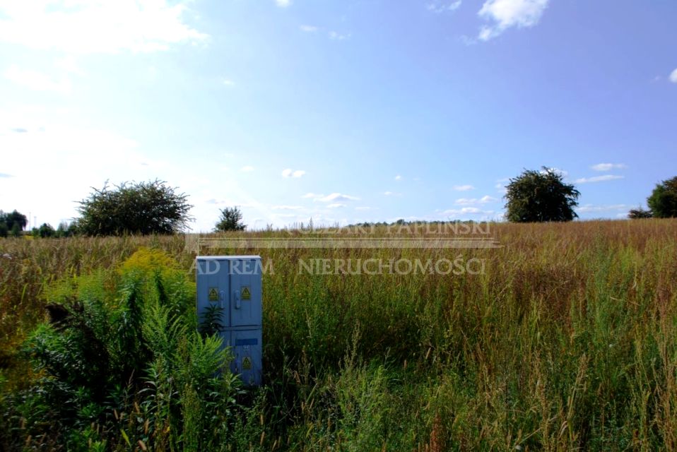 Zalesiona działka Snopków