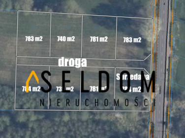 Działka LICHEŃ STARY