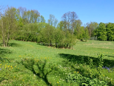 Działka budowlana Ziemiary