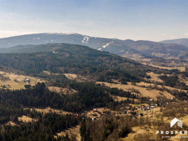 Działka leśna Krzyżówki