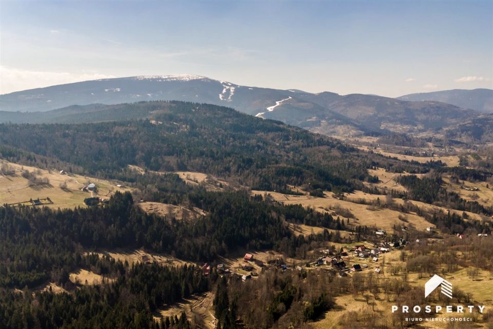 Działka leśna Krzyżówki