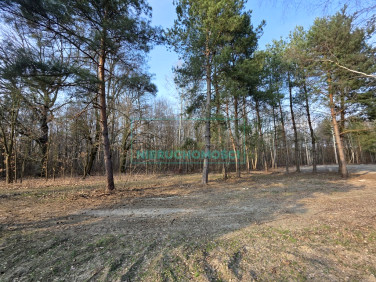 Działka budowlana Mościska