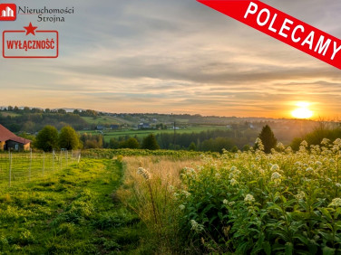 Działka budowlana Chorągwica