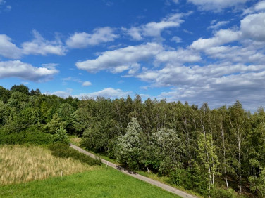 Działka rolna Odrzykoń sprzedam
