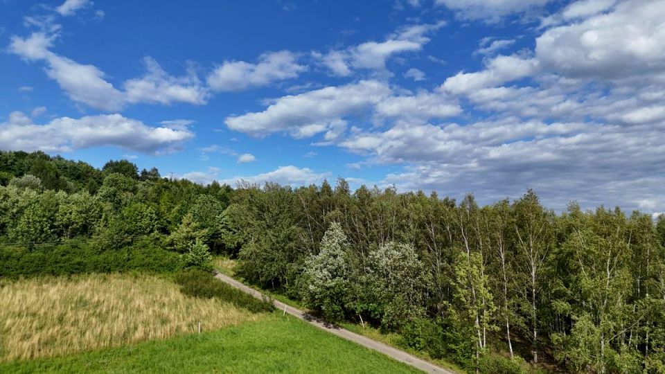 Działka rolna Odrzykoń sprzedam
