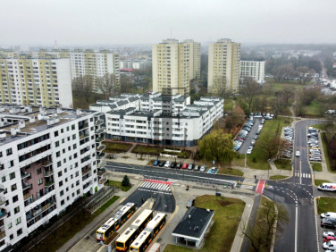 Lokal Warszawa