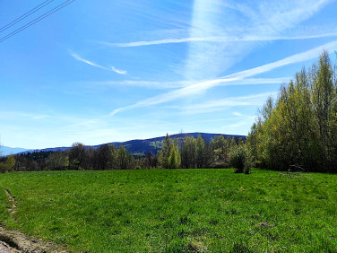 Działka Polanica-Zdrój