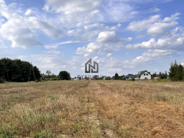 Działka budowlana Dębe Wielkie