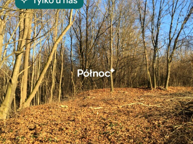 Działka budowlana Leksandrowa