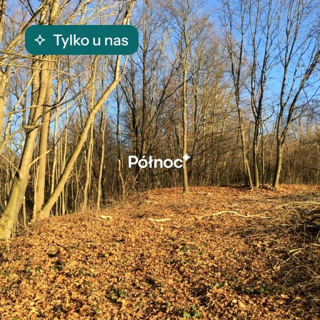 Działka budowlana Leksandrowa