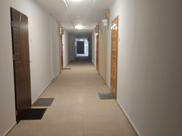 Mieszkanie Sosnowiec sprzedaż