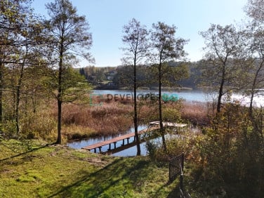 Działka Liski