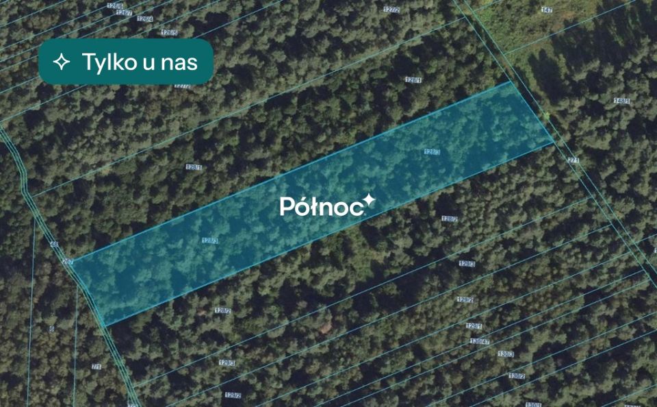 Działka leśna Kowalewszczyzna