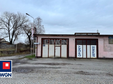 Budynek użytkowy Szprotawa