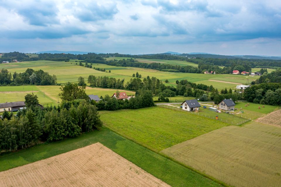 Zdjęcie 2