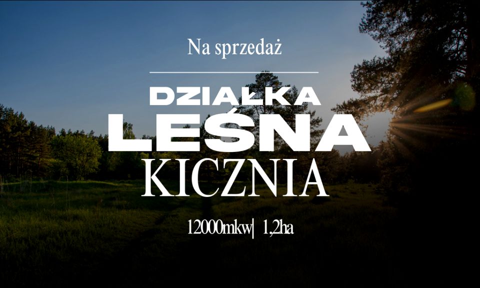 Działka leśna Kicznia