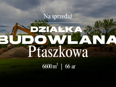 Działka budowlana Ptaszkowa