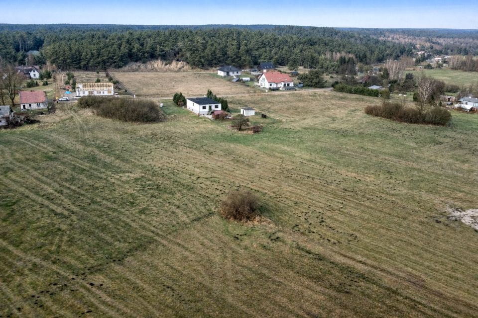 Zdjęcie 2