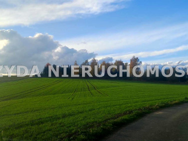 Działka budowlana Sady