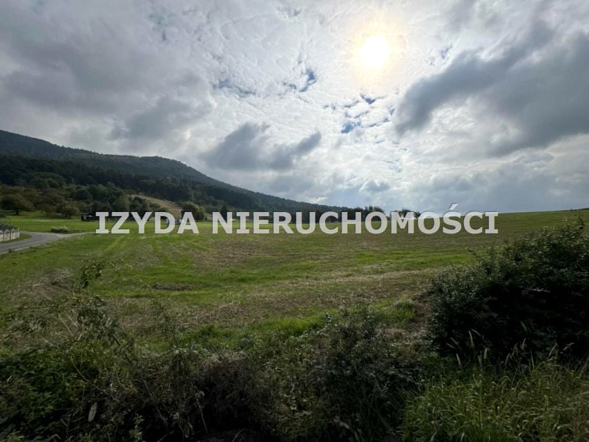 Zdjęcie 2