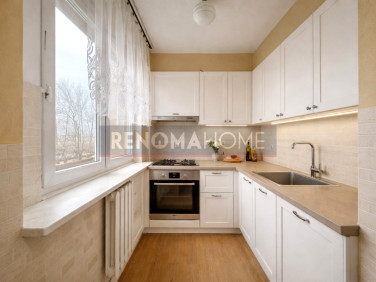 Mieszkanie Wałbrzych sprzedaż