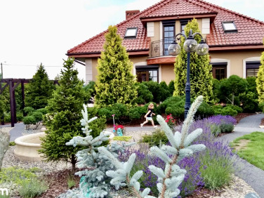 Dom Płock sprzedaż